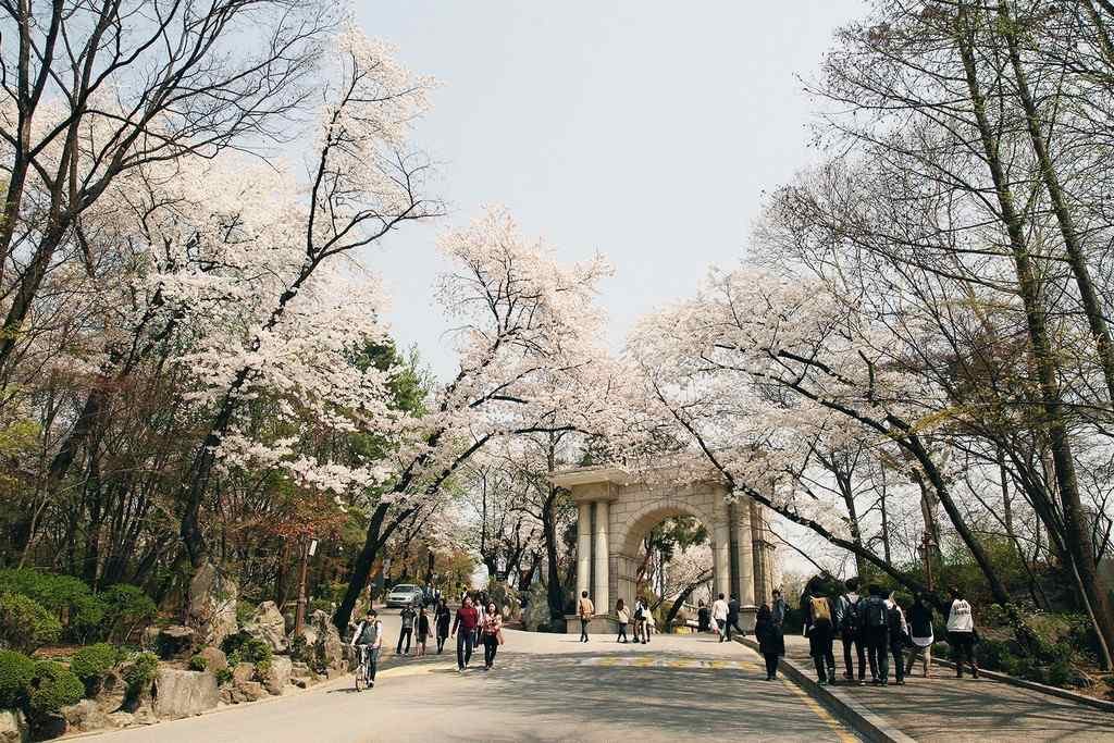 Du lịch Hàn Quốc tháng 3