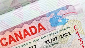 xin visa canada online