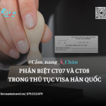 PHÂN BIỆT CT07 VÀ CT08 TRONG THỦ TỤC VISA